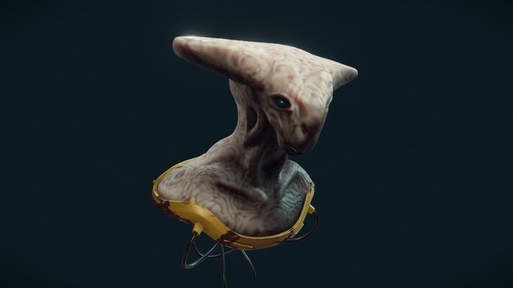 Creature Head Sculpt 02 3D Model