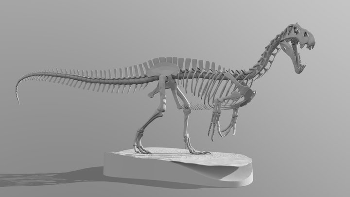 Suchomimus Skeleton 3D Model