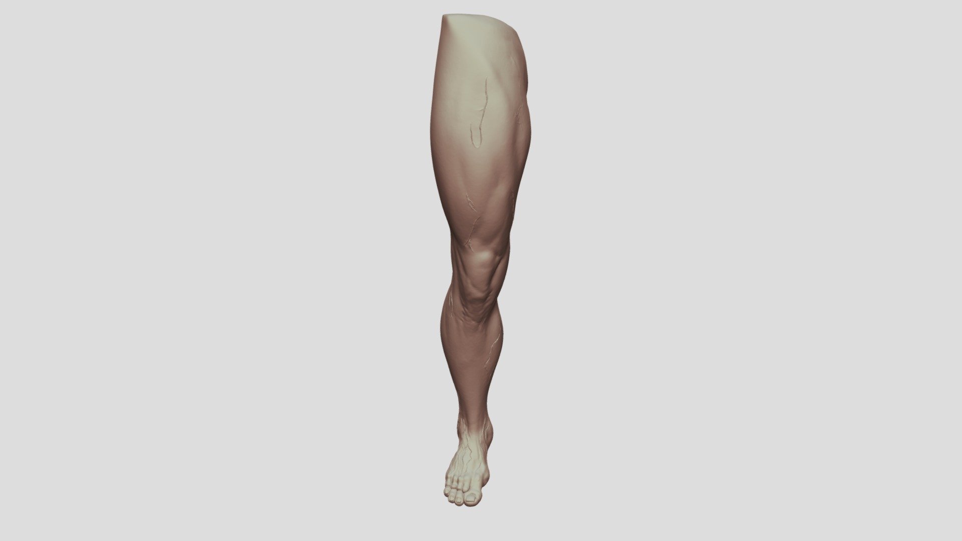 male right leg — Sketchfab embed 3D viewer