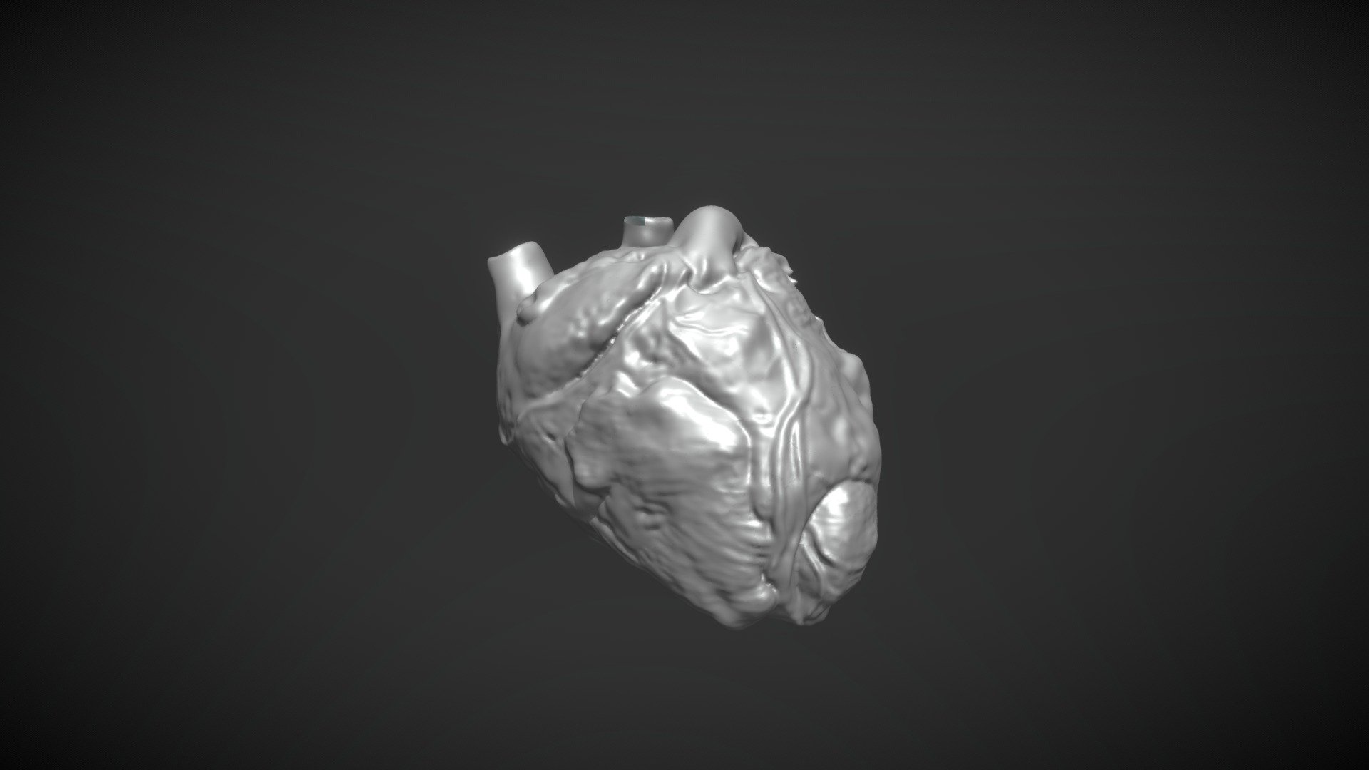 Heart(less)Test - 3D model by Esteban Barreiro [Bankito] (@bankito ...