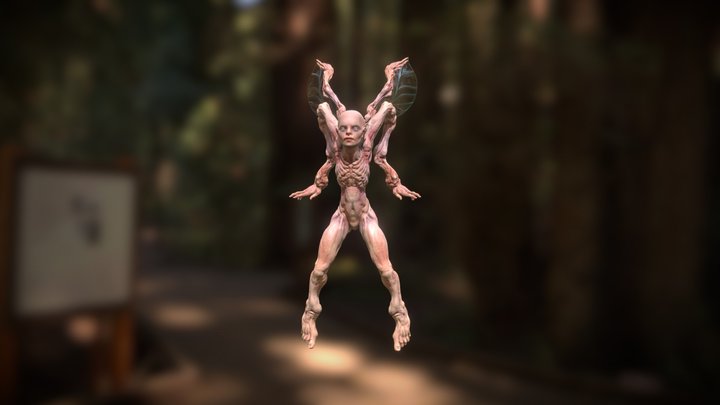 Tooth fairy 3D Model