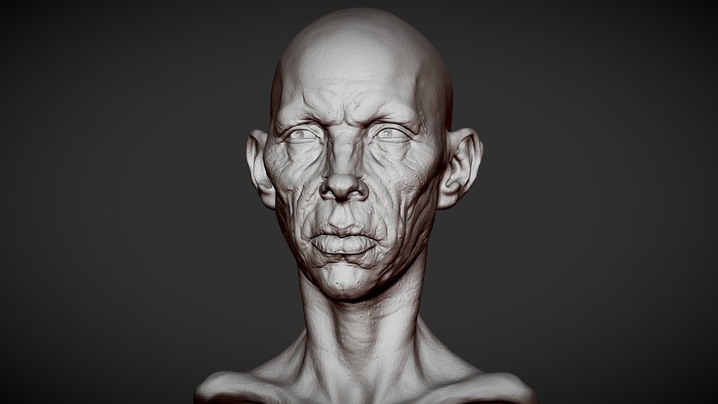 Heads Bundle 1 - A 3D model collection by Steffen Hartmann (@hartmann ...