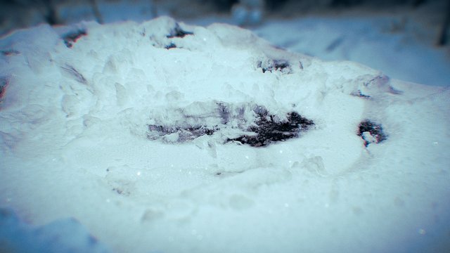 First Snow!