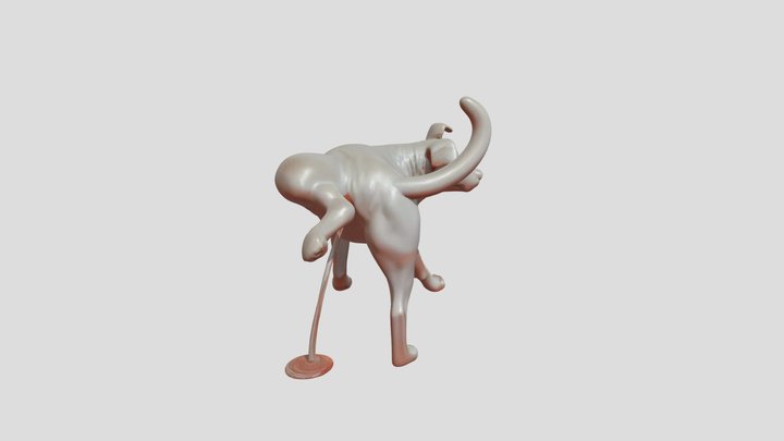 Silvertooth Model