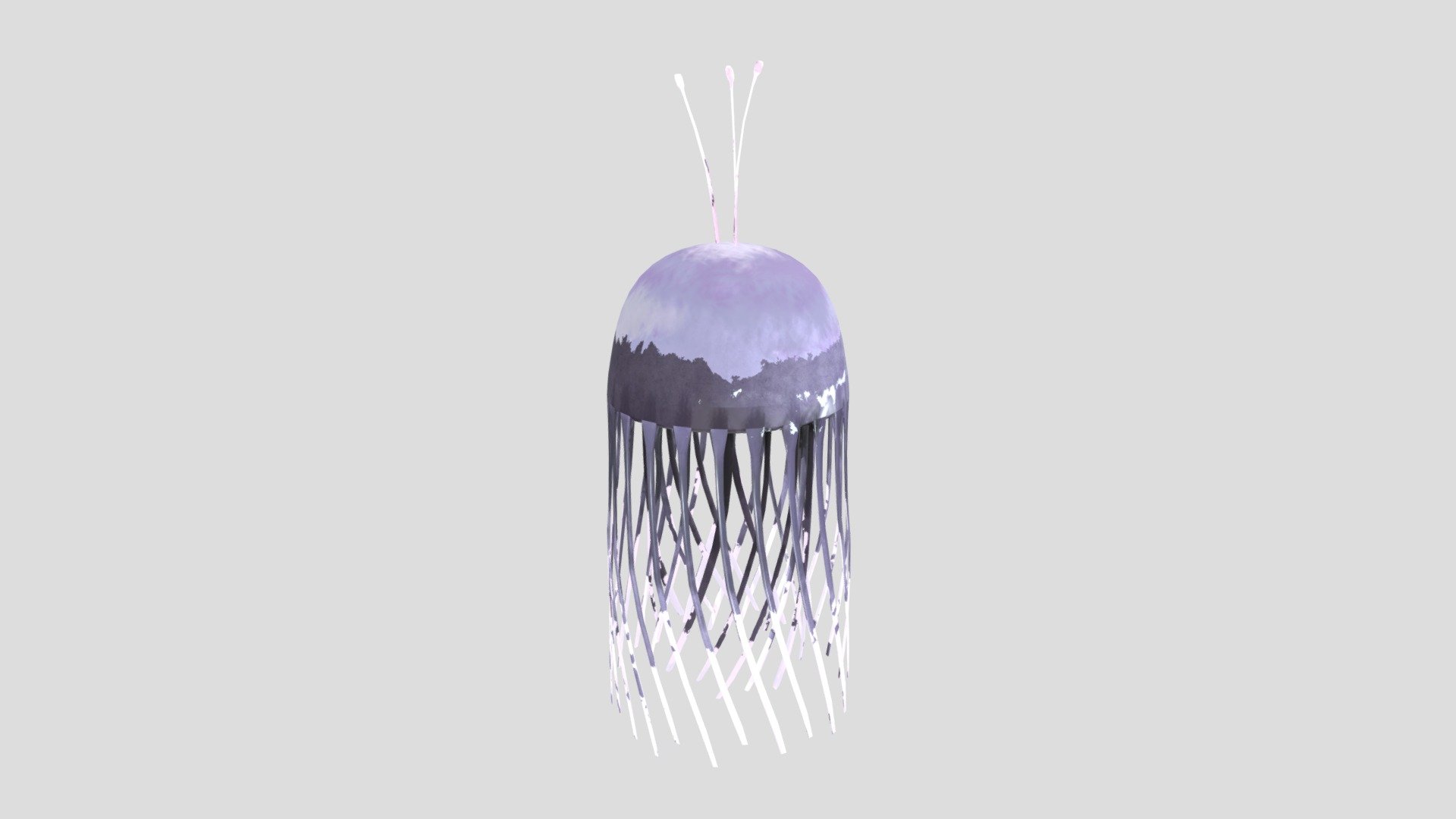 Jellyfish