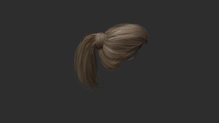 Hair Female 3D Model