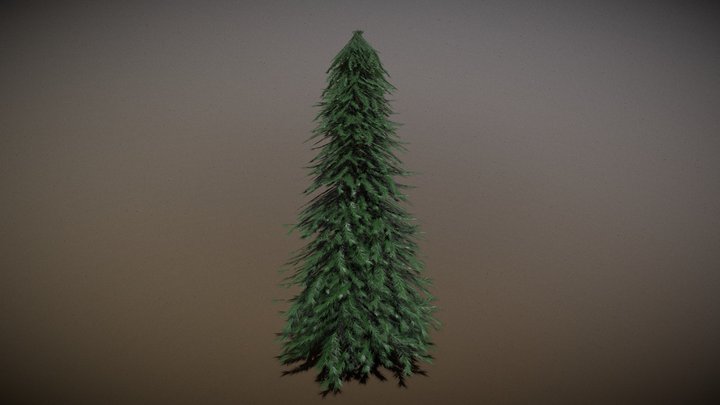 Pine Tree – Low Poly Stylized Tree 3D Model