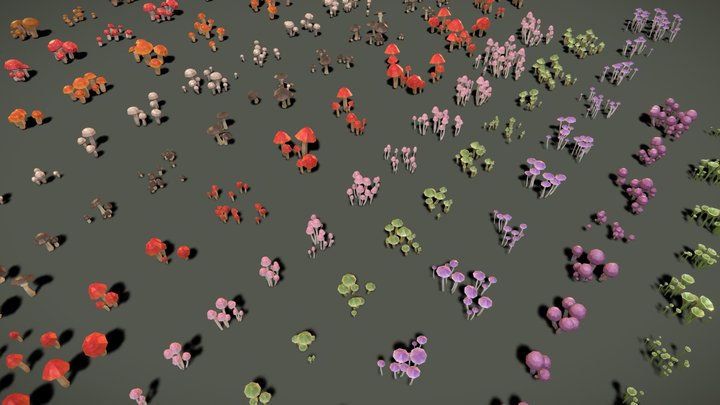 Nature Mushroom 3D Model