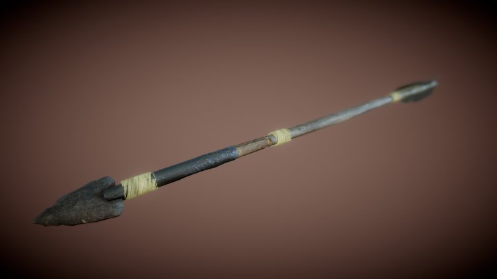 Primitive Arrow (Based on Otzi The Iceman) 3D Model