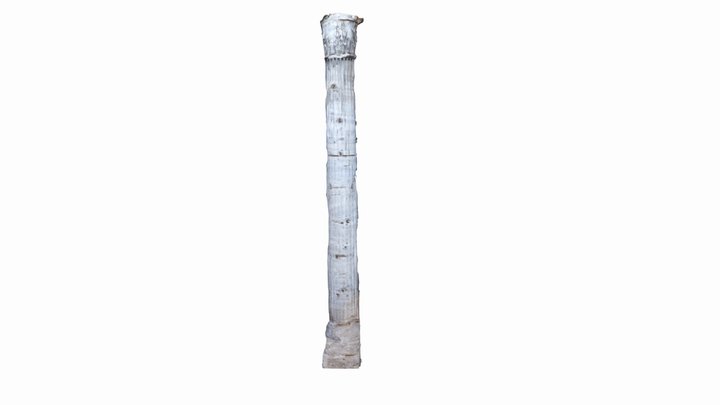 Tempio di Adriano - colonna 5 3D Model