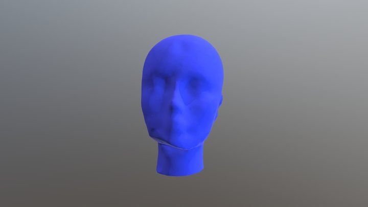 Mask Model 3D Model