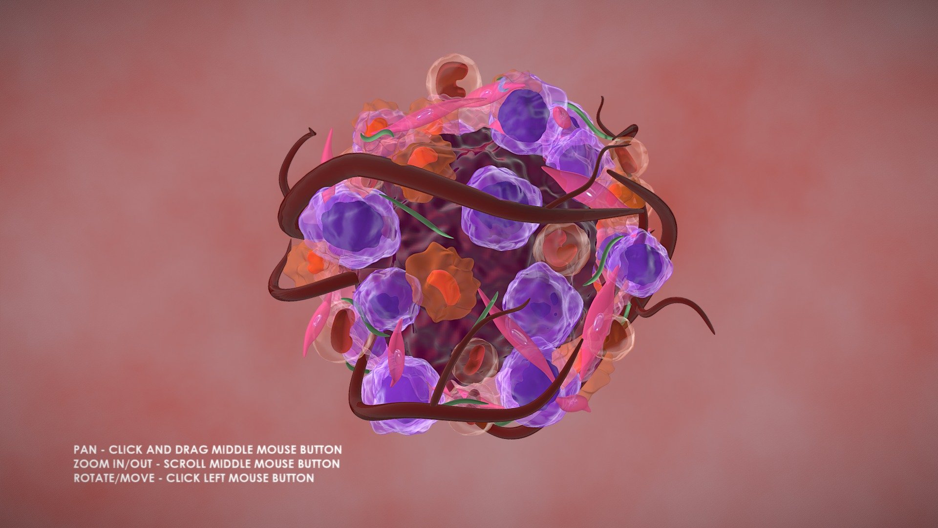 Cancer Tumour Micro-Environment 3D model-Blender - 3D model by ...