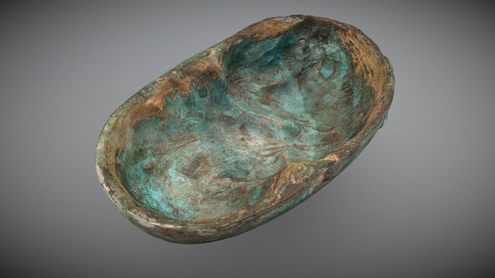 Guscio 3D Model