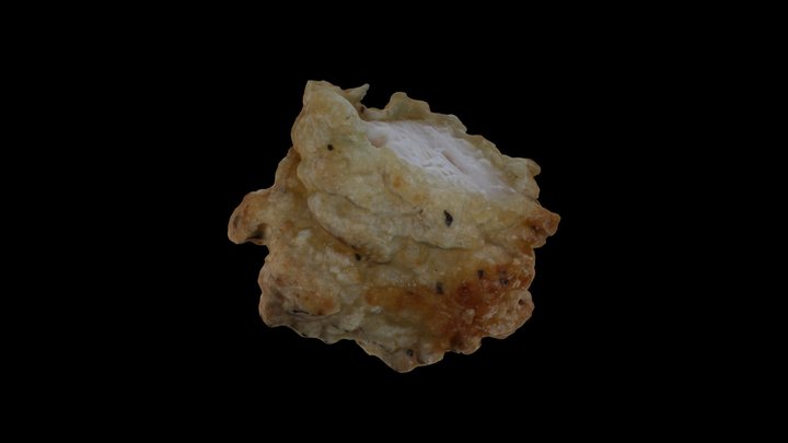 Chicken Nugget Photogrammetry Scan 3D Model
