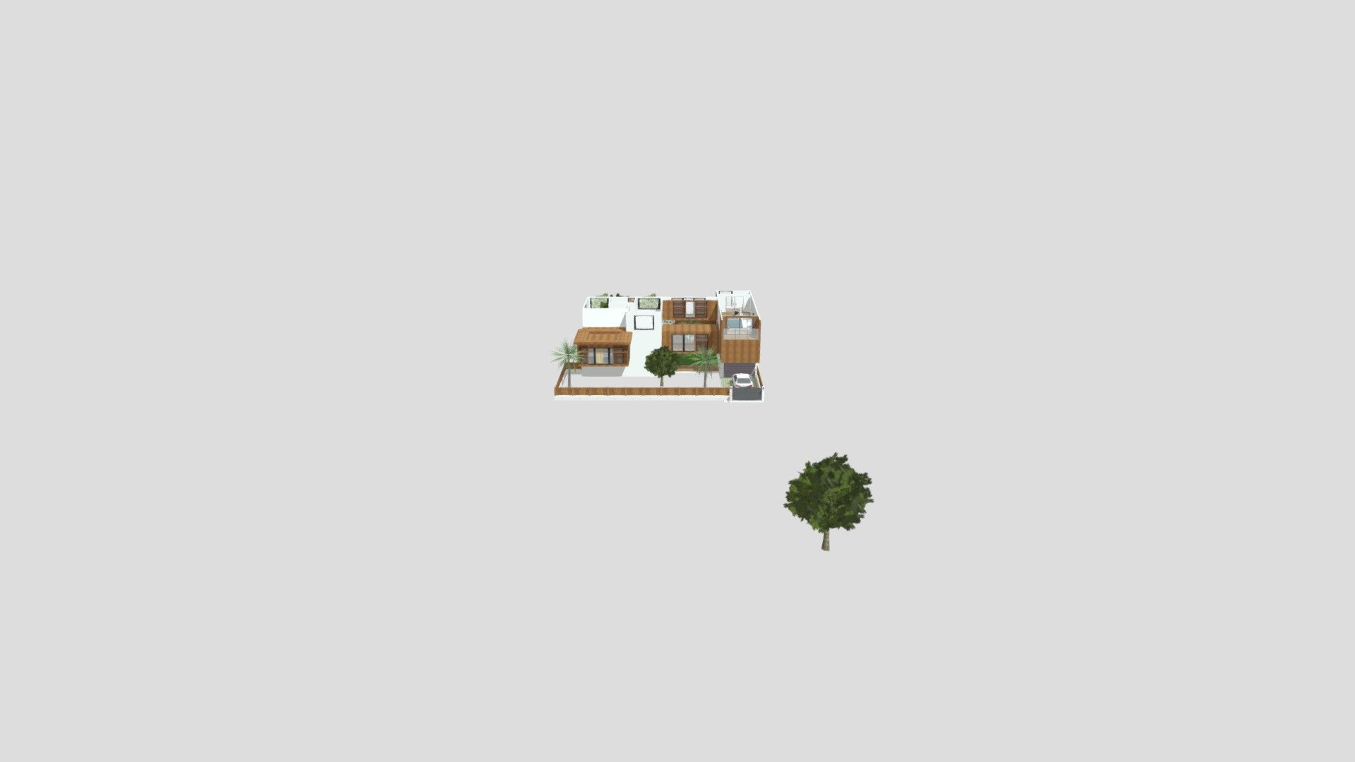 Palm