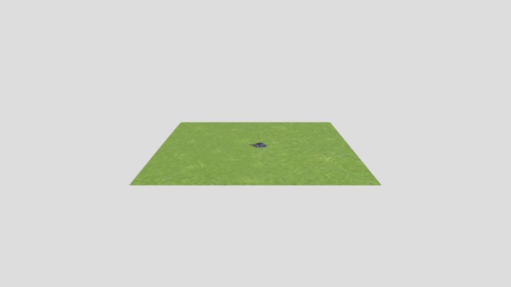 石头 3D Model