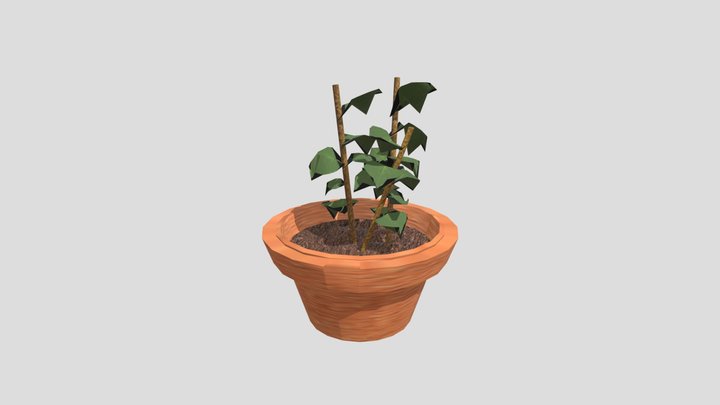 plant 3D Model