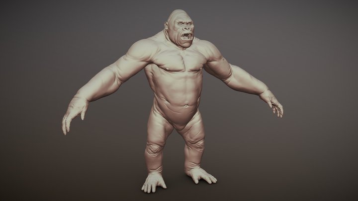 Gorilla Highpoly Basemesh 3D Model