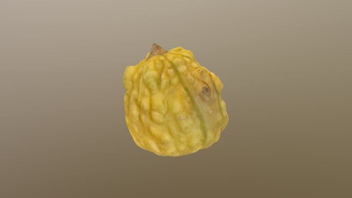 Gourd 3D Model