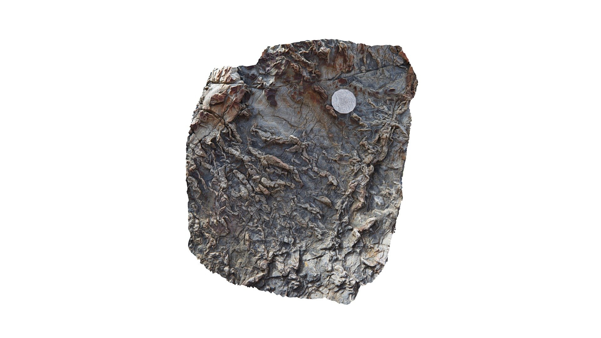 Couta8 - 3D model by AusGeol.org (@AusGeol) [072eee0] - Sketchfab