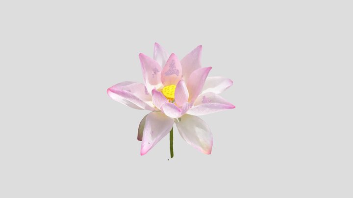 春日の森 3D Model