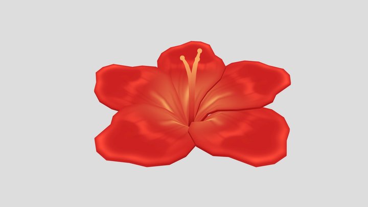 Hibiscus 3D Model