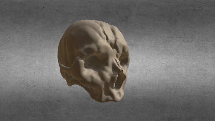 NS_Module2_skull 3D Model