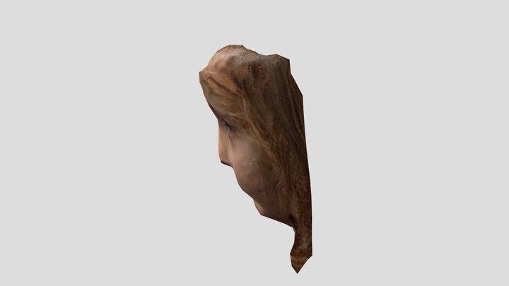 SimFaceTest1 3D Model