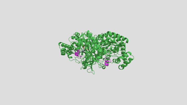 Two Large Subunits of Spinach Rubisco 3D Model