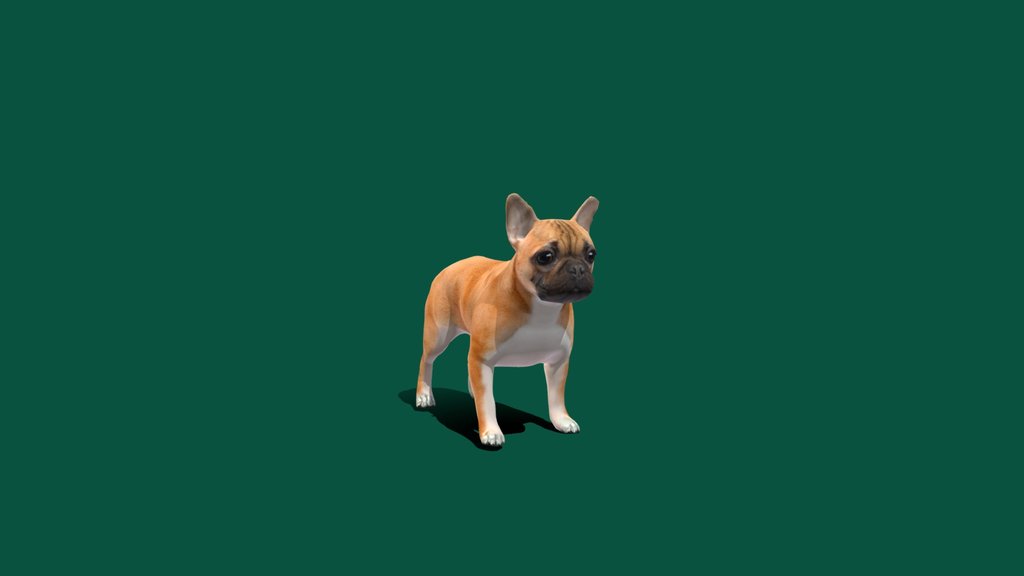 Low Poly Animals - A 3D model collection by Nyilonelycompany - Sketchfab