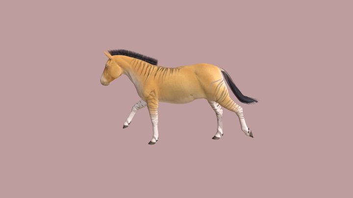 Gipparion 3D Model