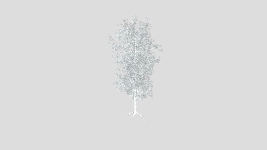 Sj Moonlit Pine Guardian