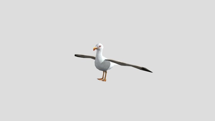 8883 3D Model