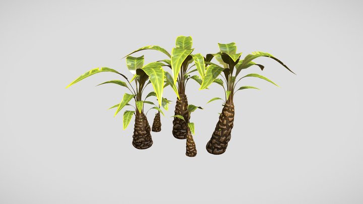 Palm tree set vol3 Cartoon Stylized Hand painted 3D Model