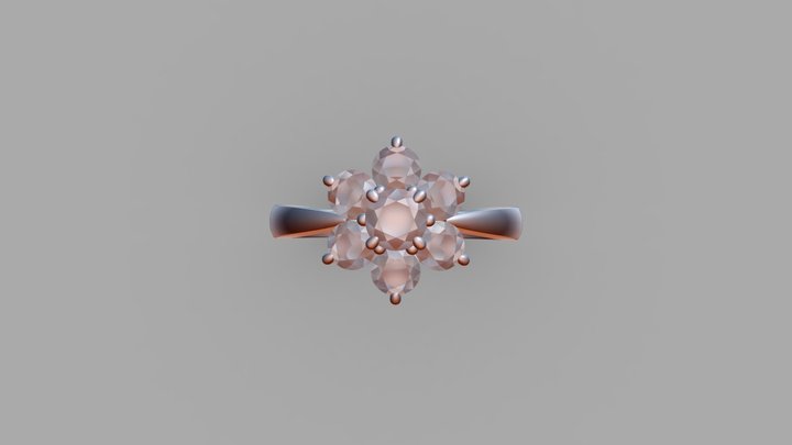 Surround_Ring 3D Model