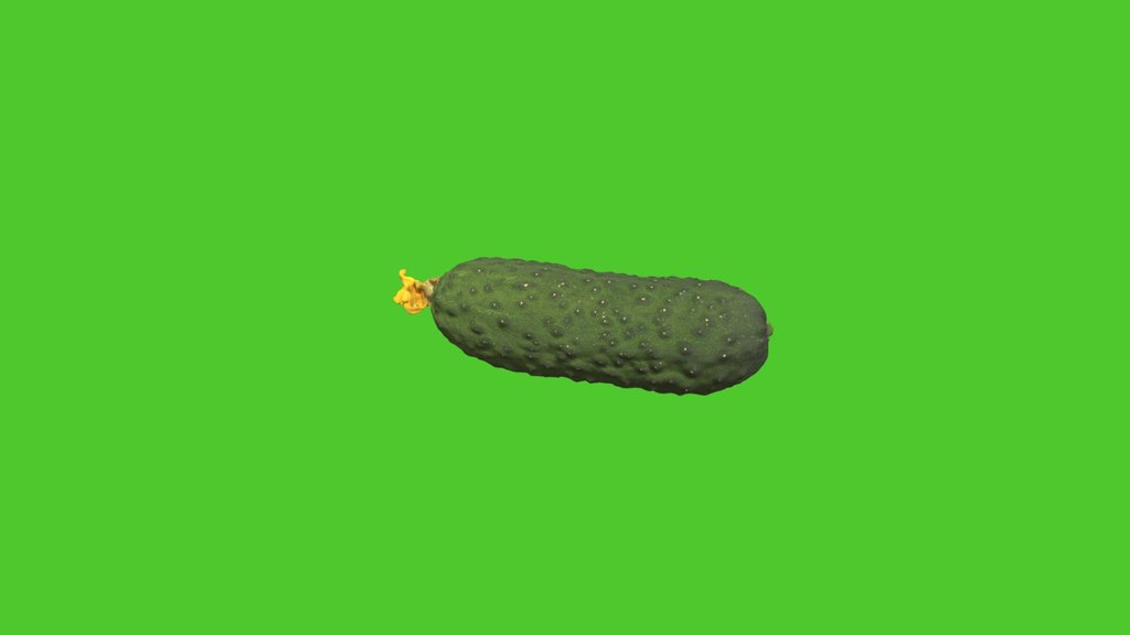 Cucumber