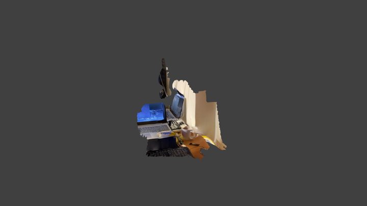 Lizipaina 3D Model
