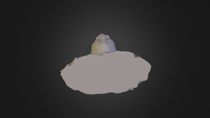 Model Human PLY 3D Model