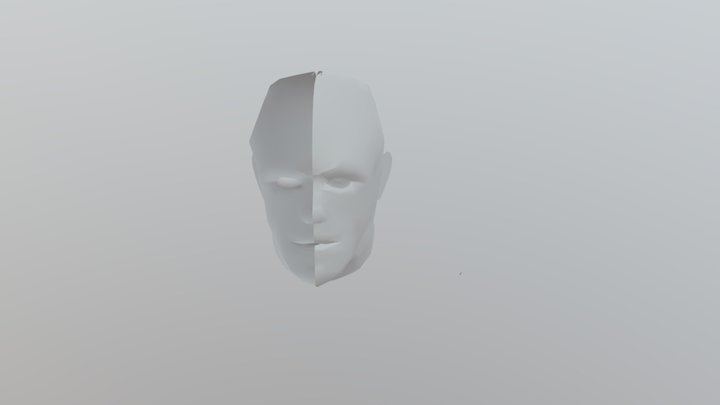 A3 - Head Modelling 3D Model