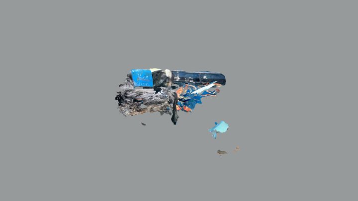 タカアシガニ　竹島水族館 3D Model