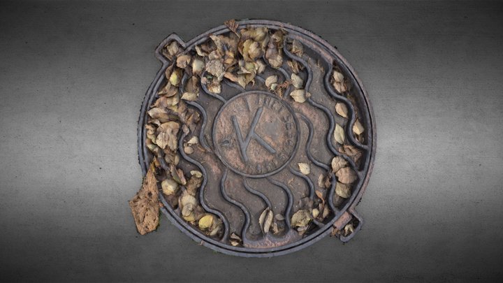 Manhole Photogrammetry Scan 3D Model