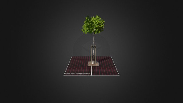 Tree 3D Model