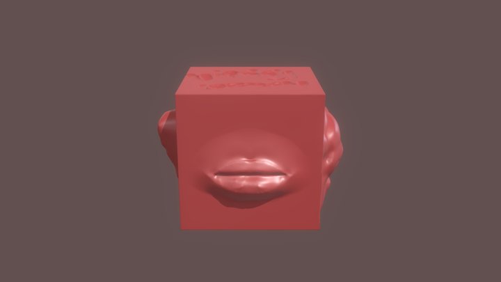 Anatomy Cube 3D Model