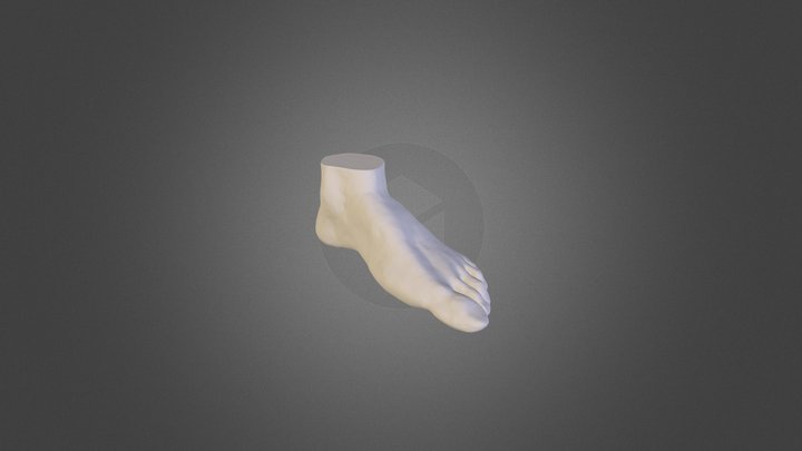 FootStudy 3D Model