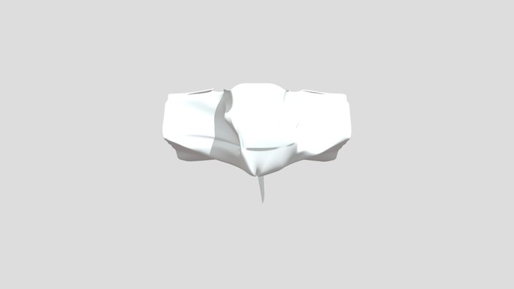 My model 3D Model