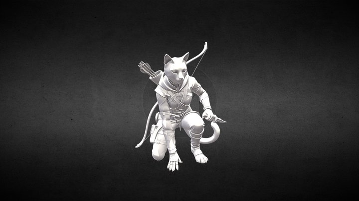 Tabaxi rogue dnd