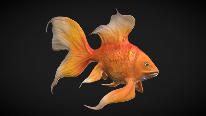 gold fish