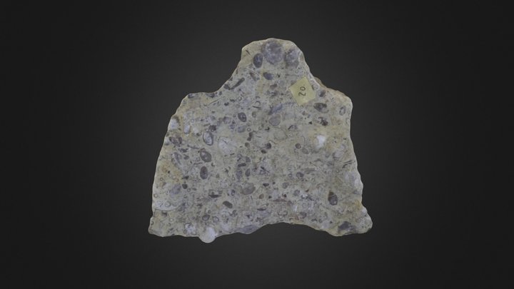 Crustaceans: Ostracods (PRI 76750) – Gratis 3D-model STL