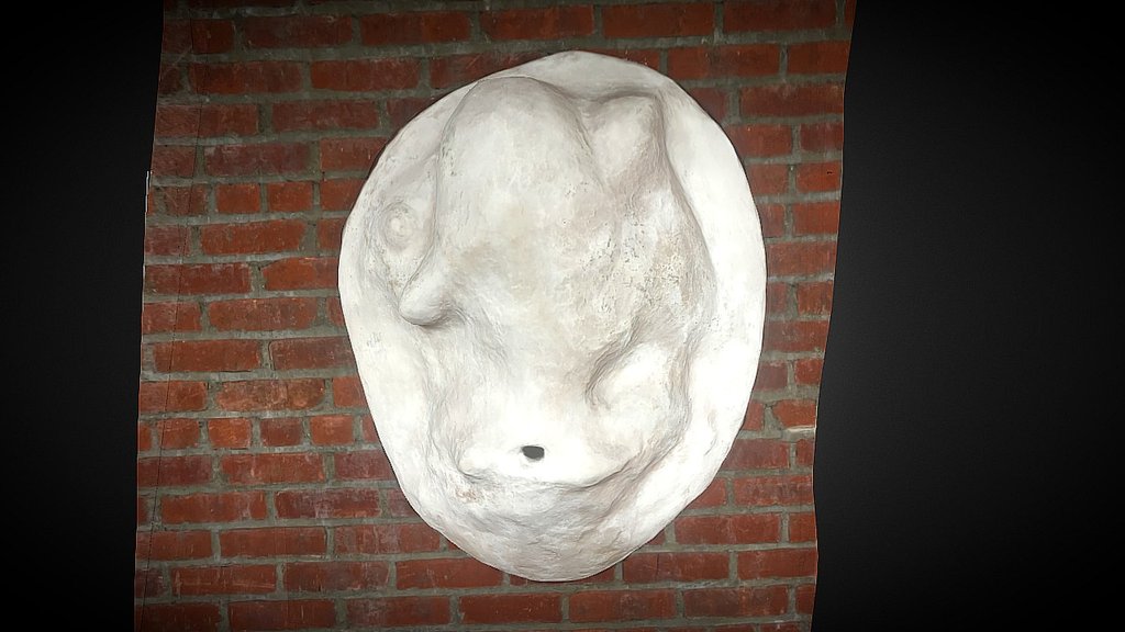 The nose