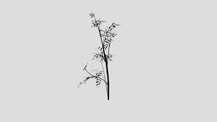 bamboo 3D Model